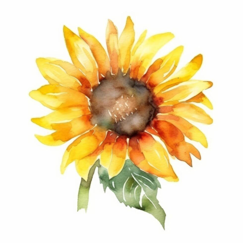 Aquarell Sonnenblume isoliert. Illustration ai generativ foto