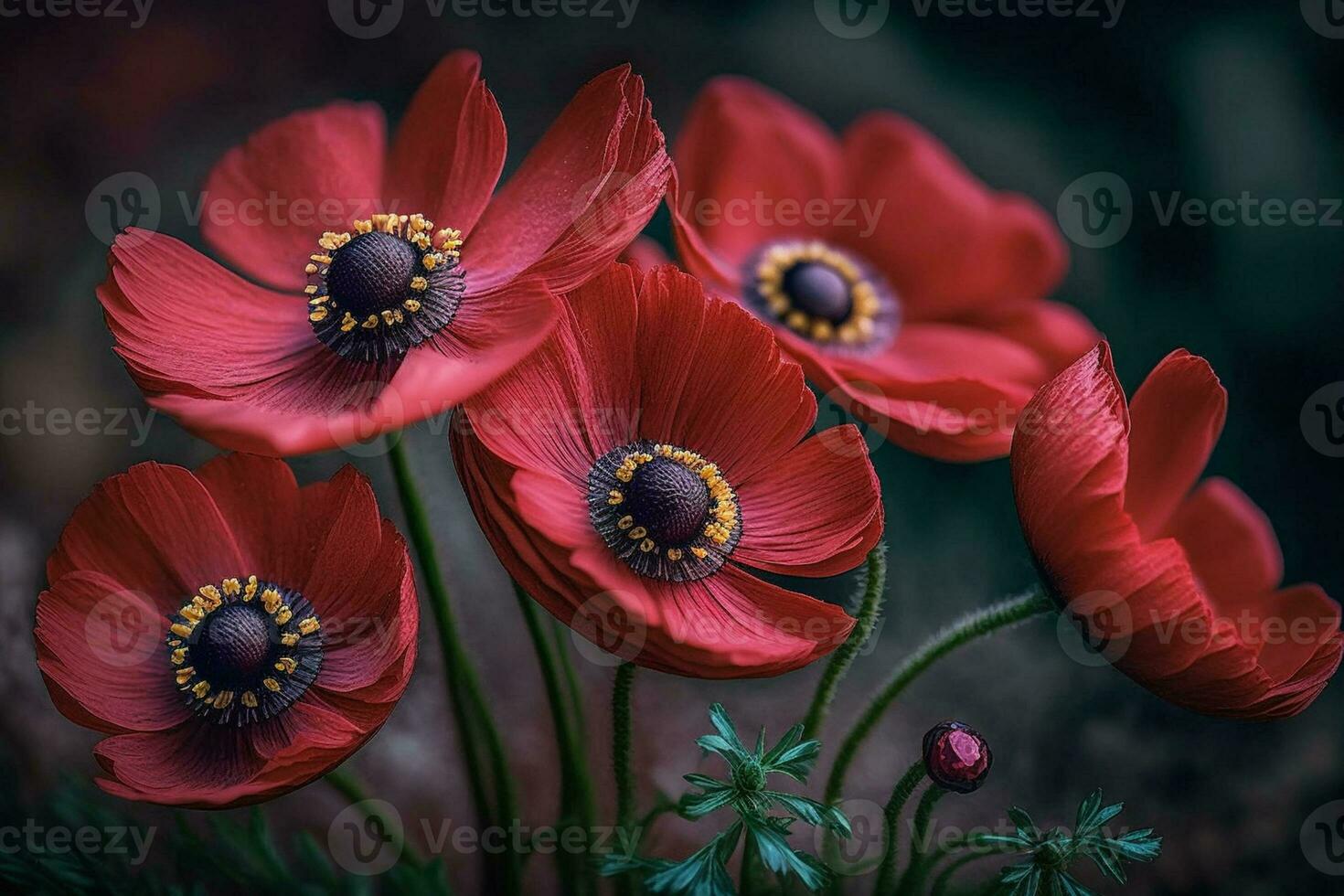 rot Anemone Blumen ai generiert foto