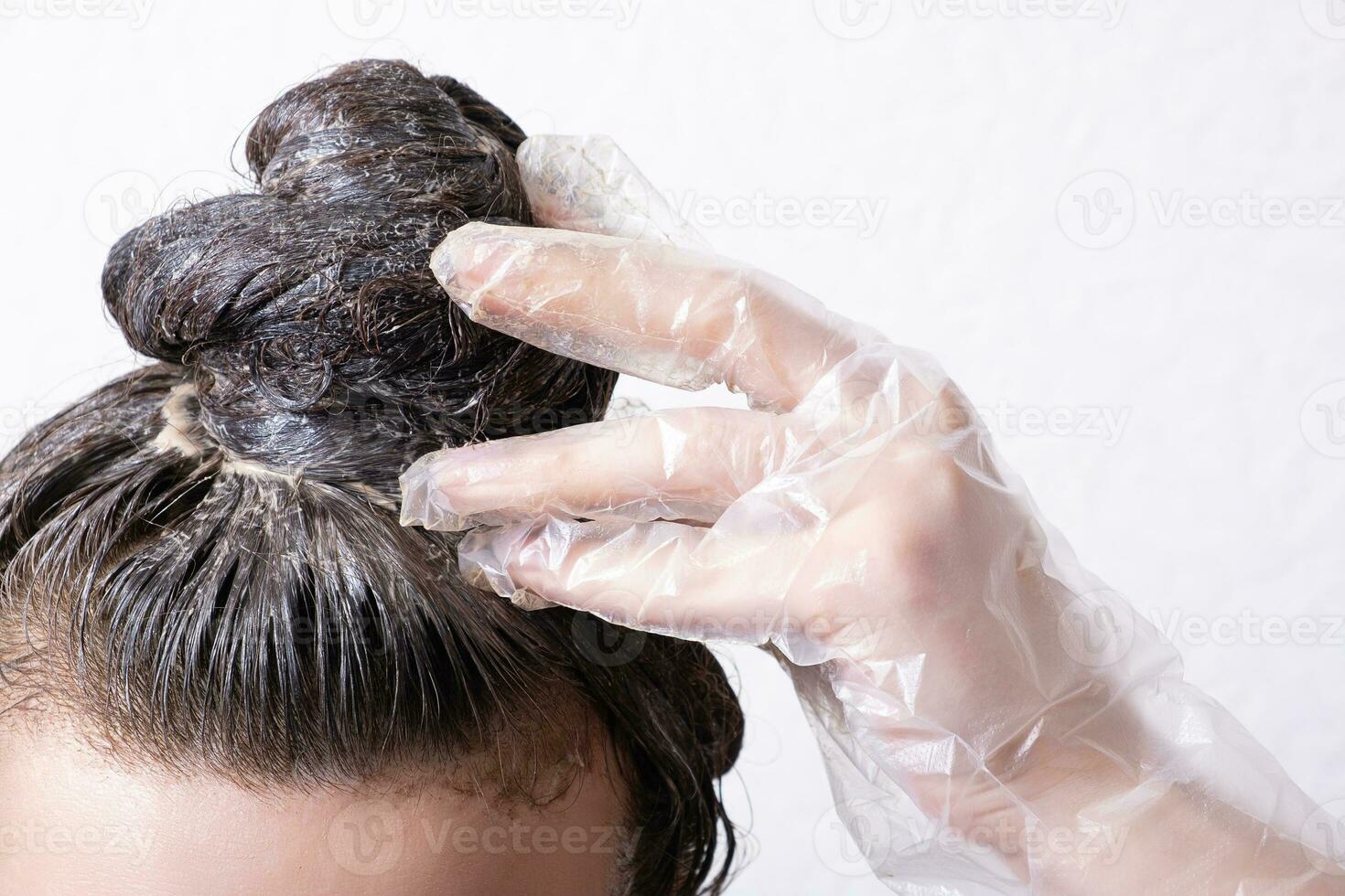 Damen Haar ist gesammelt im ein Brötchen mit Farbe angewendet zu es und behandschuhte Hand. Haar Färberei Konzept foto