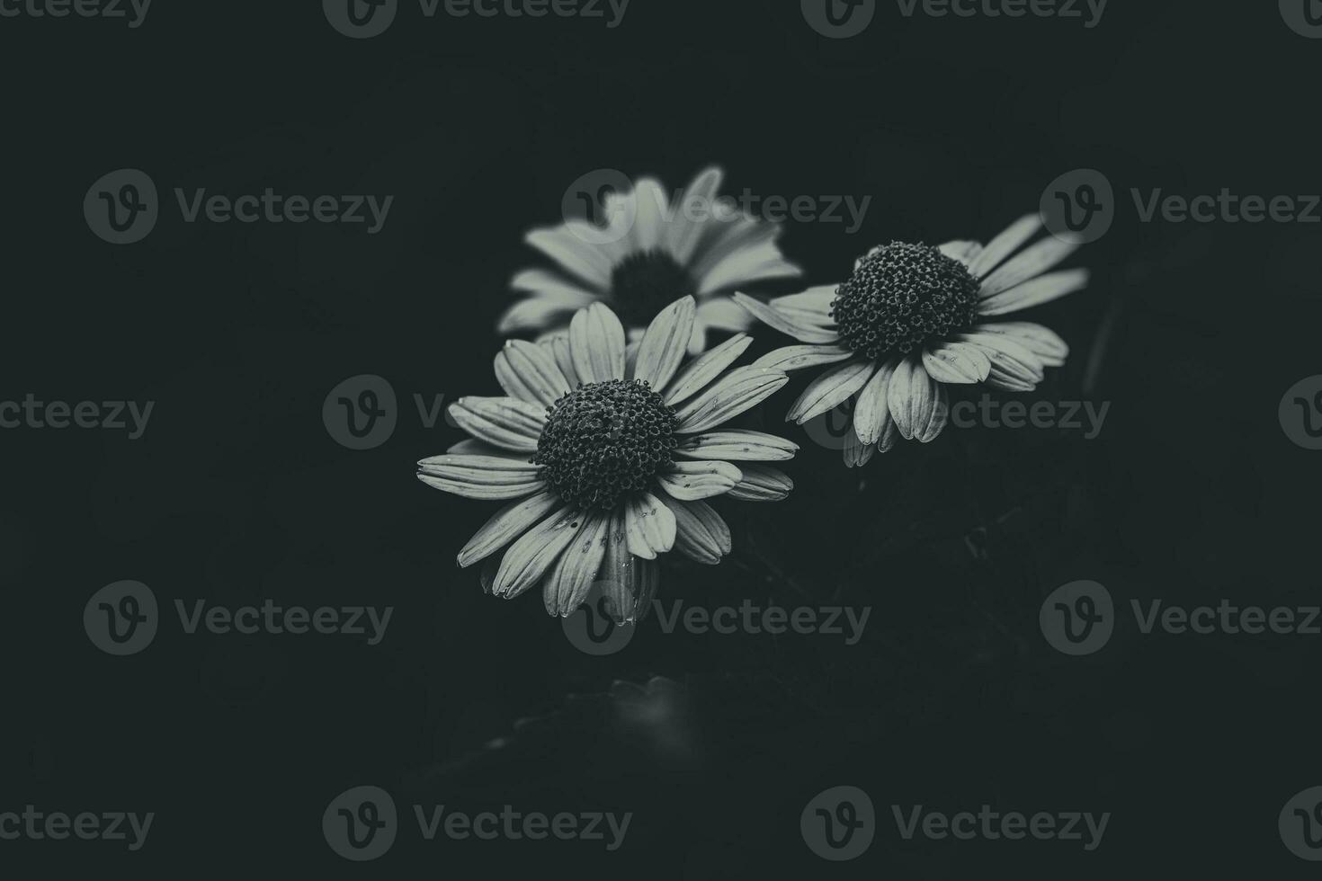 Sommer- Gelb Blumen wachsend im das Garten auf Grün Hintergrund foto