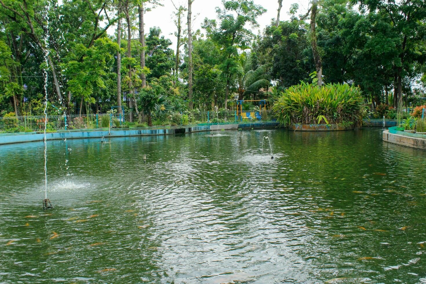 ein klein Teich im ein schön Garten mit ein Brunnen im das Mitte foto