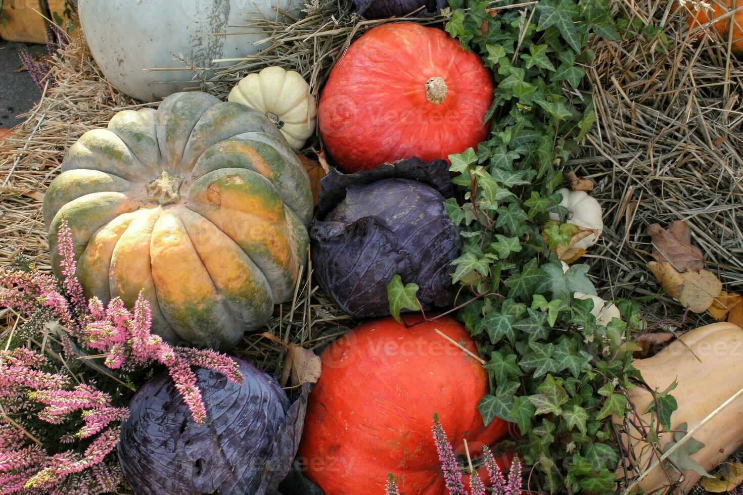 Kürbisse und Herbst Blumen auf ein Heuhaufen. Ernte Zeit auf ein Bauernhof. fallen Messe von frisch organisch Gemüse. festlich Dekor im Garten. Landwirtschaft Markt. ländlich Szene. Vegetarier und vegan Essen Tag. foto