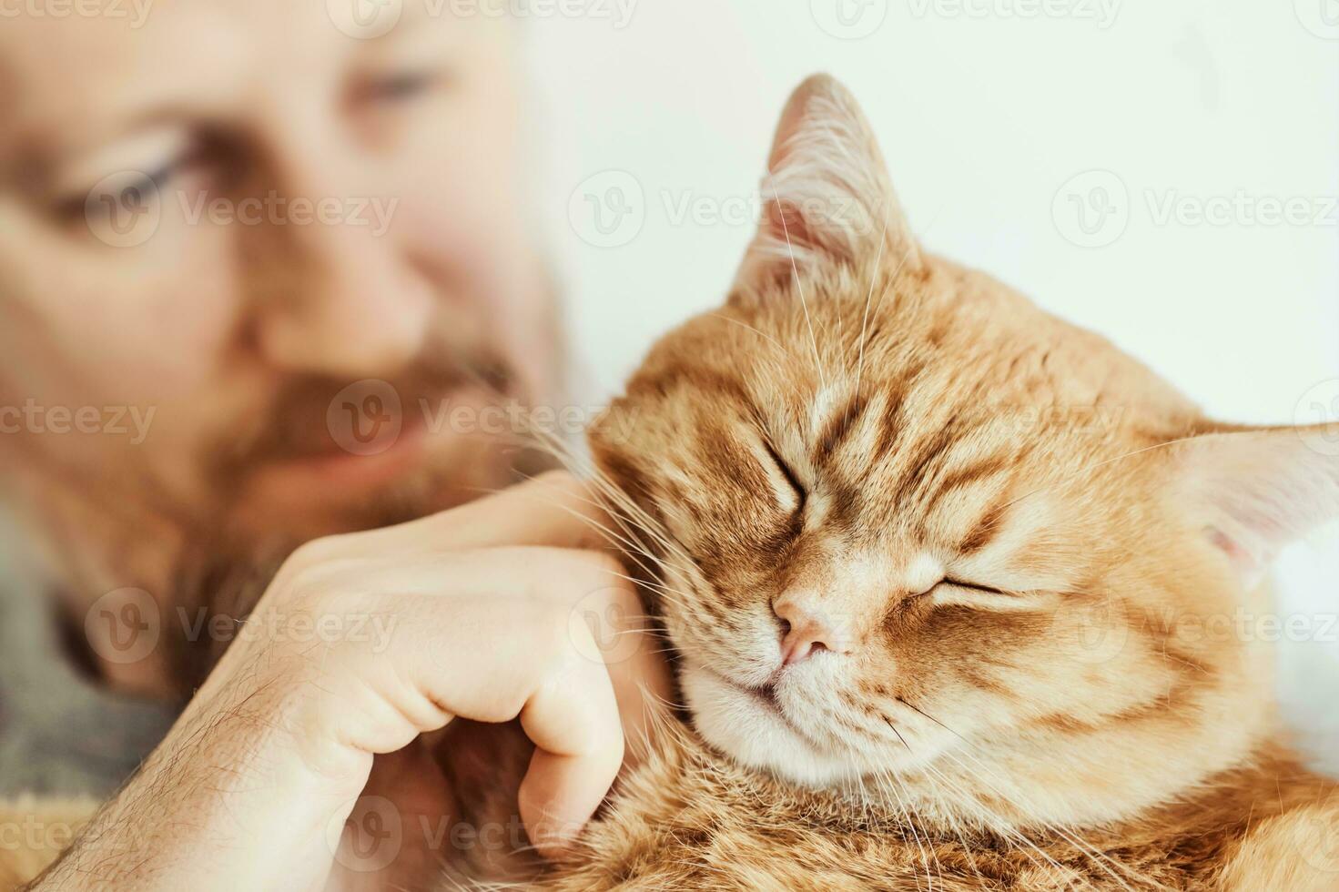 bärtig Mann umarmen und streicheln Ingwer Katze Nahansicht. selektiv Fokus auf Katze Schnauze foto