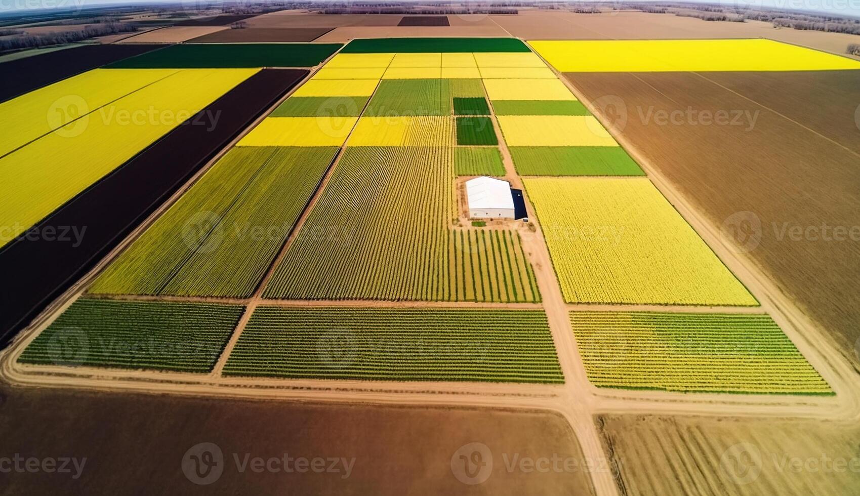 generativ ai, Bauernhof Landschaft, landwirtschaftlich Weizen Felder, schön Landschaft, Land Straße. Natur Illustration, fotorealistisch oben Aussicht Drohne, horizontal Banner. foto