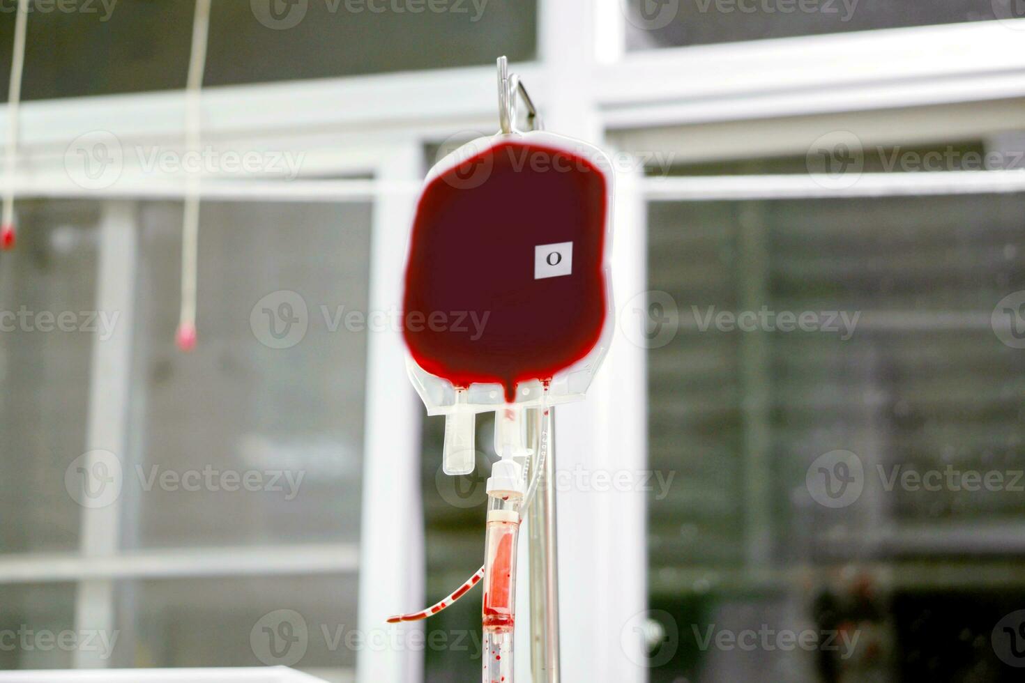Blut im ein Tasche hängend auf ein Pole ist übertragen Blut zu ein krank Neugeborene Baby im ein Baby Inkubator im ein Krankenhaus. foto