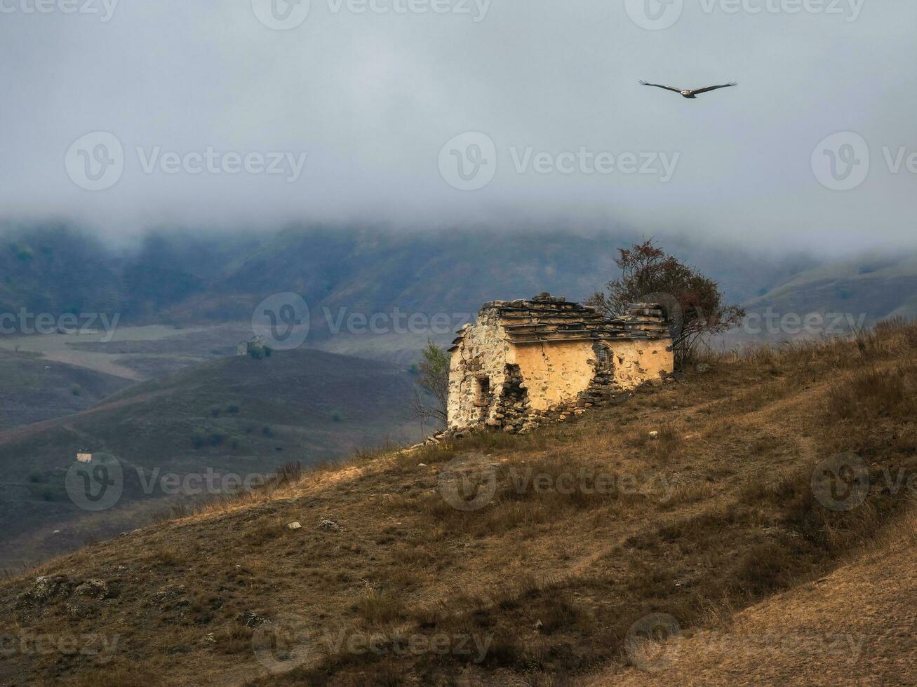 alt Familie Krypta auf ein neblig Berg Neigung. alt erzi Turm Komplex im das jeyrah Schlucht, gelegen auf das Extremität von das Berg Angebot im Inguschetien, Russland. foto