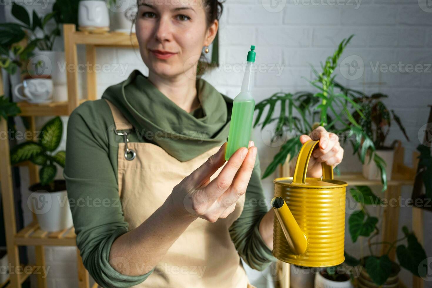 tropfen Dünger zum eingetopft Pflanzen, Stimulator von Entwicklung, Wachstum Beschleunigung, Zuhause Pflanze Pflege. ein Flasche von Flüssigkeit ist eingefügt im das Hand von ein Frau. Zuhause Ernte Produktion foto