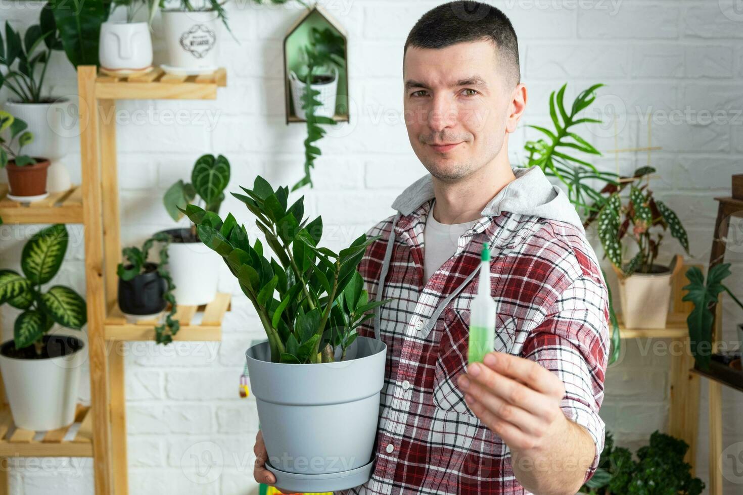 tropfen Dünger zum eingetopft Pflanzen Zamiokulkas, Stimulator von Entwicklung, Wachstum Beschleunigung, Zuhause Pflanze Pflege. ein Flasche von Flüssigkeit ist eingefügt im das Hand von Mann. Zuhause Ernte Produktion foto