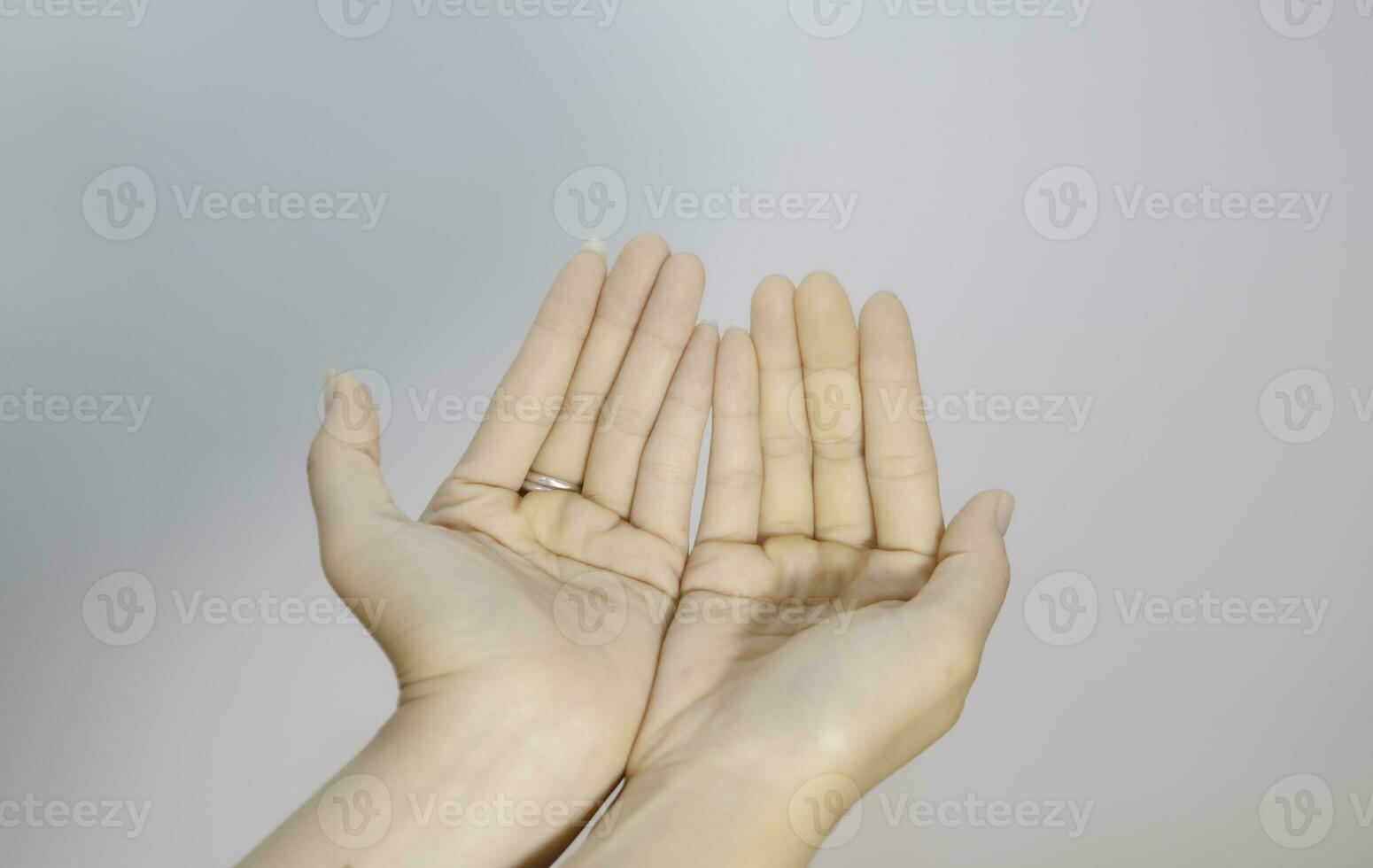 zwei leeren weiblich schön Hände öffnen mit Palmen oben Nahansicht von oben Aussicht isoliert auf Weiß Hintergrund foto