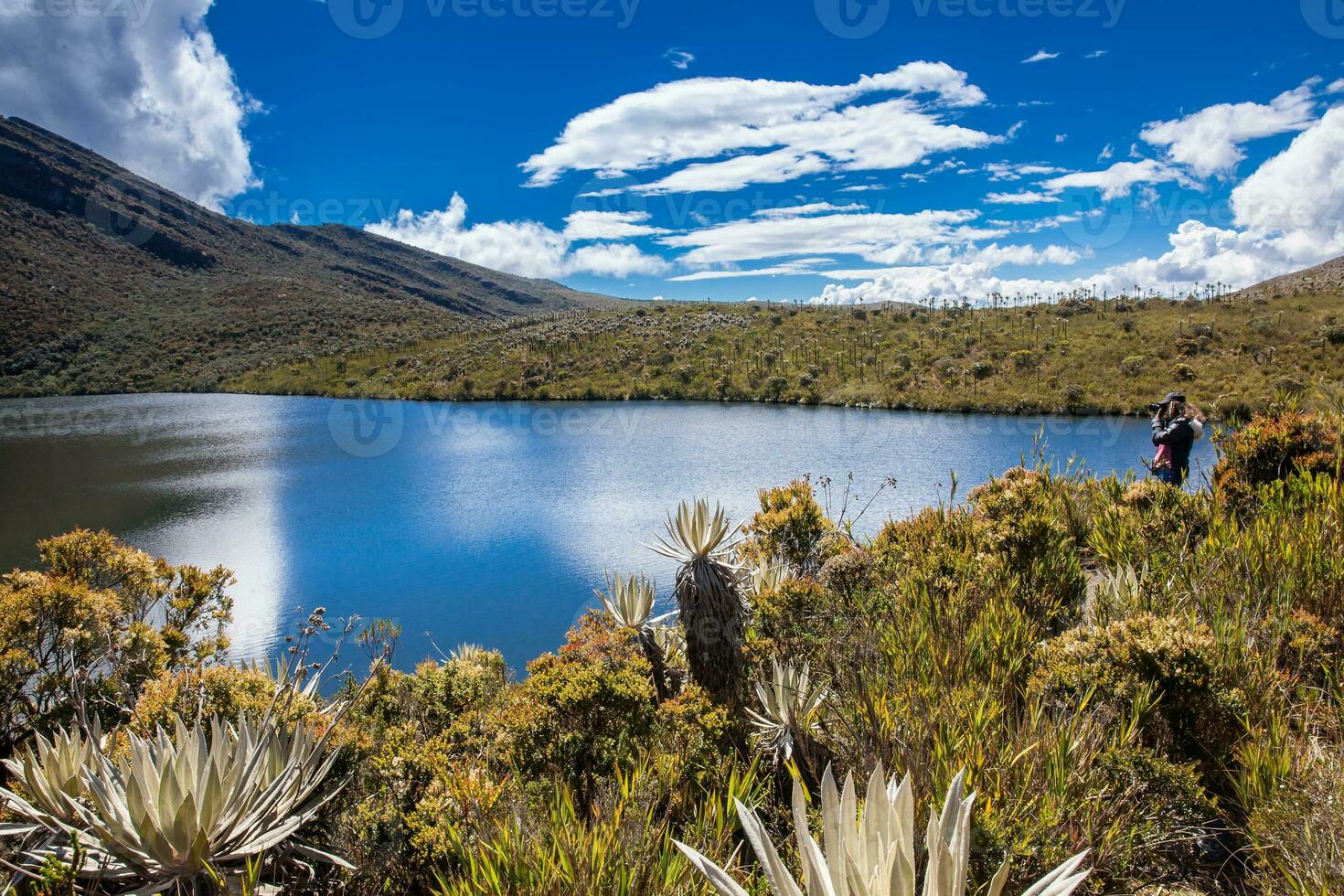 jung Frau erkunden das Natur von ein schön paramo beim das Abteilung von cundinamarca im Kolumbien foto