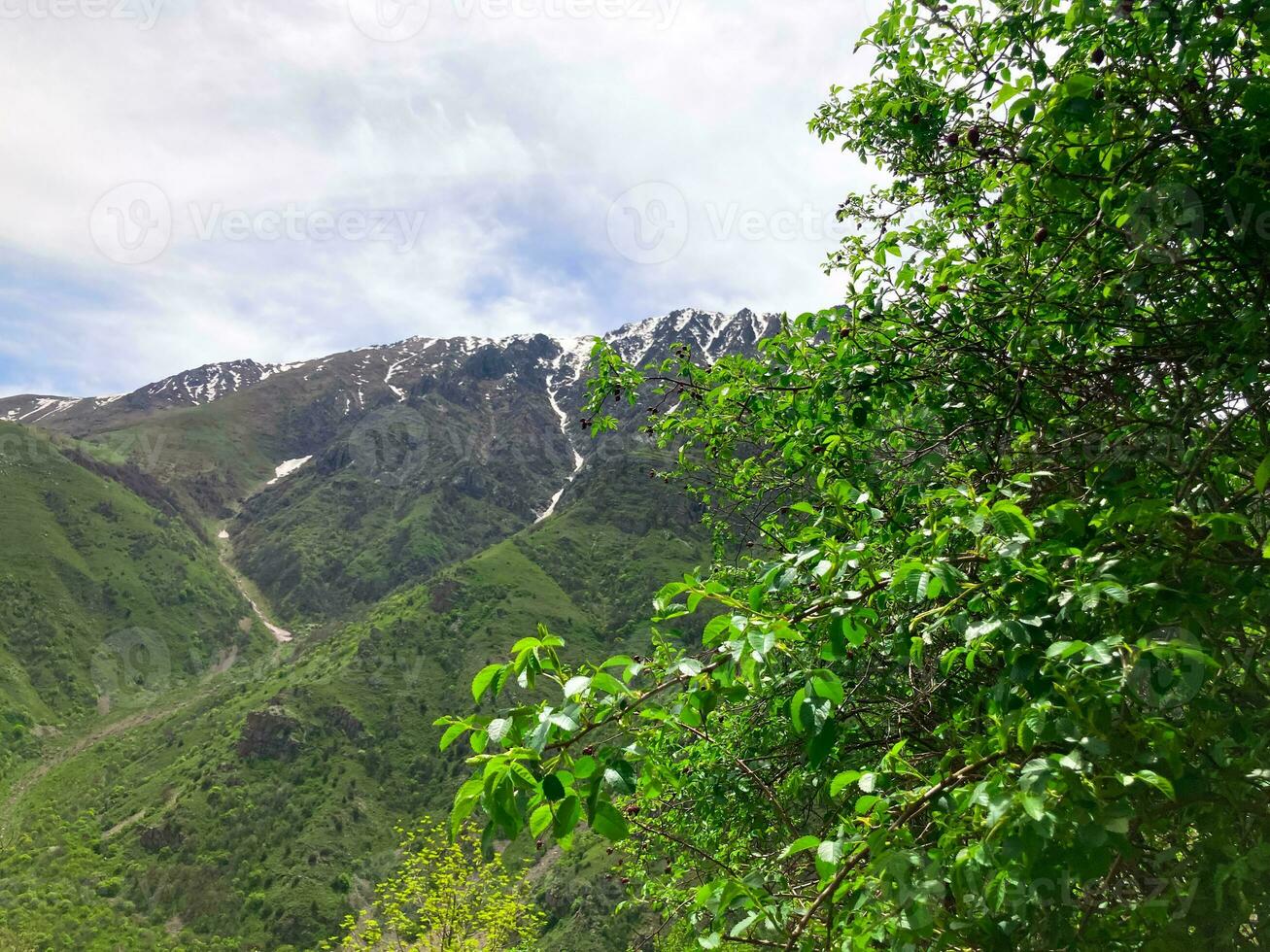 schön Natur Landschaft und Berg. Blau Himmel. Armenien, Vayots dzor Provinz foto