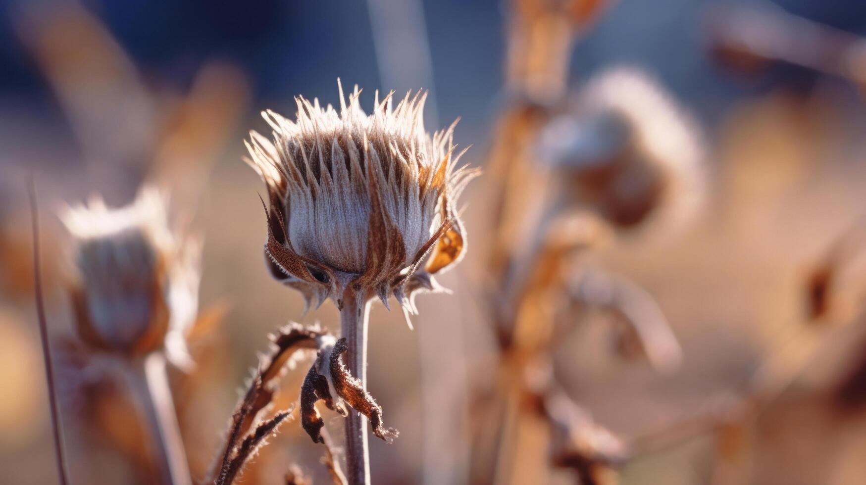 getrocknet Distel Blüte. Illustration ai generativ foto