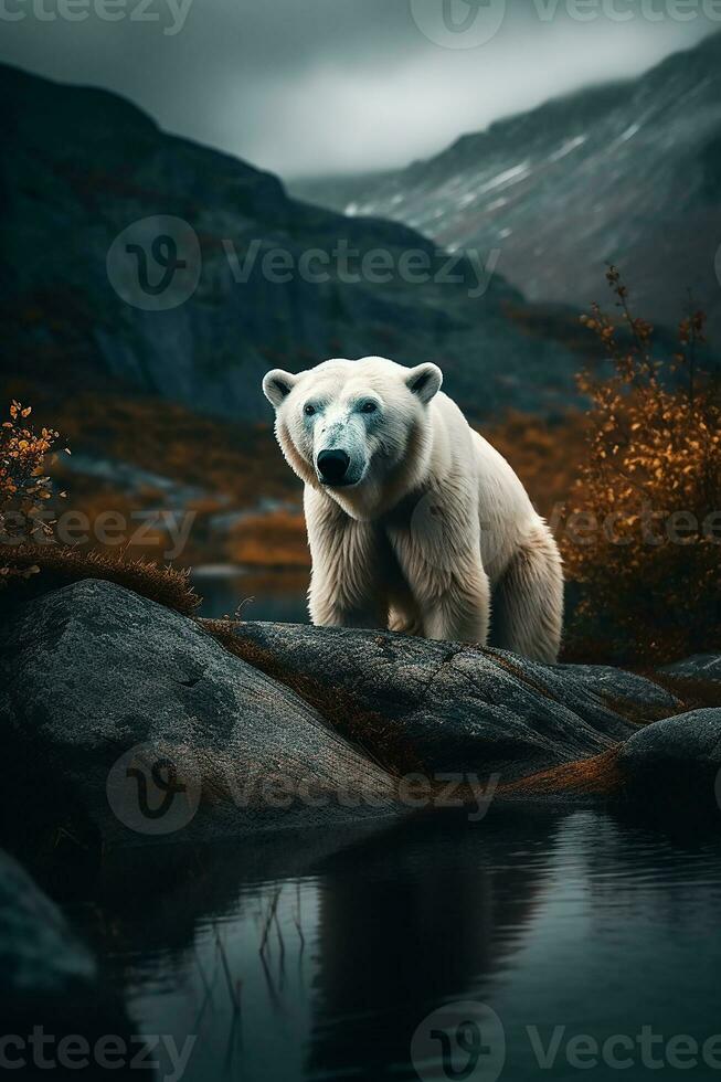 ein Polar- Bär in der Nähe von das Fluss auf das Stein. generieren ai foto