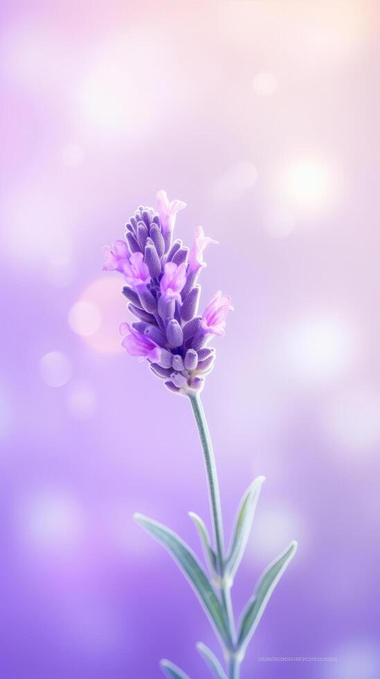 Lavendel Blume Hintergrund. Illustration ai generativ foto