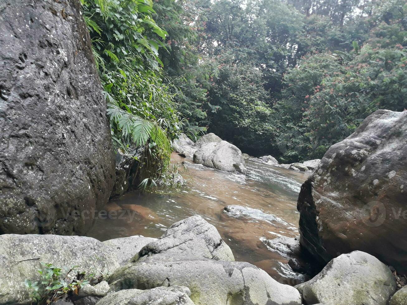das Atmosphäre im ein Fluss deren fließen ist ziemlich Ruhe und umgeben durch Felsen. foto