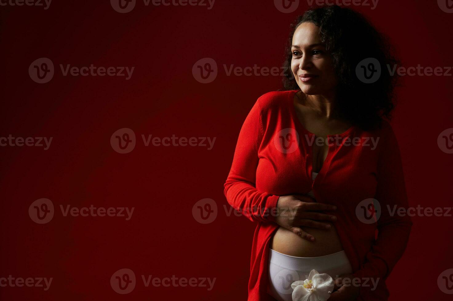 ethnisch Erwachsene schwanger Frau lächelnd suchen beiseite, sanft streicheln ihr Bauch, genießen glücklich Momente von ihr Schwangerschaft foto