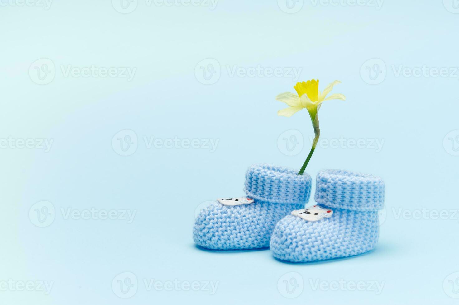 immer noch Leben. Blau gestrickt Baby Socken, Booties und Gelb Narzisse Blume, isoliert Hintergrund. Neugeborene Kleidung. Mode foto