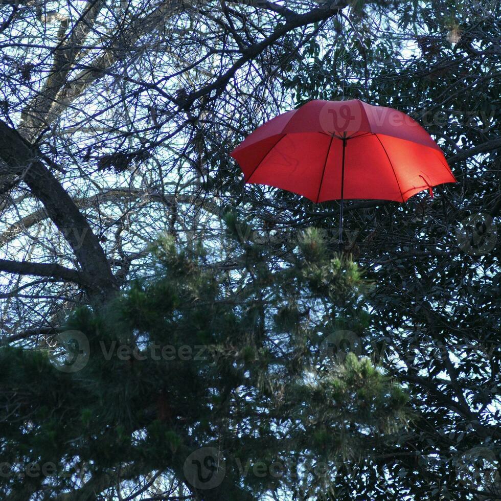 rot Jahrgang Regenschirm schwebend über das Bäume foto