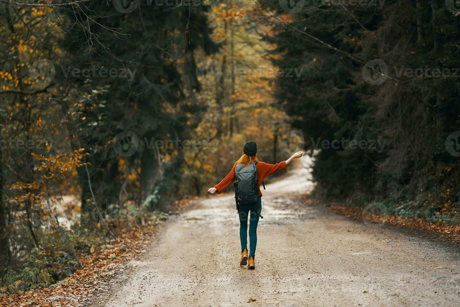 Frau Reisen im Herbst Wald auf das Straße Landschaft hoch Bäume Rucksack Modell- foto