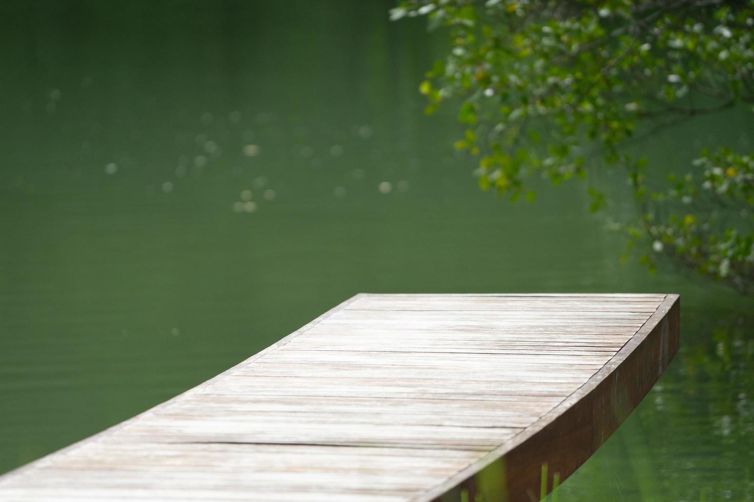 Selektiver Fokus auf einer Holzbrücke mit unscharfen Zweigen von Baum und See im Hintergrund. foto