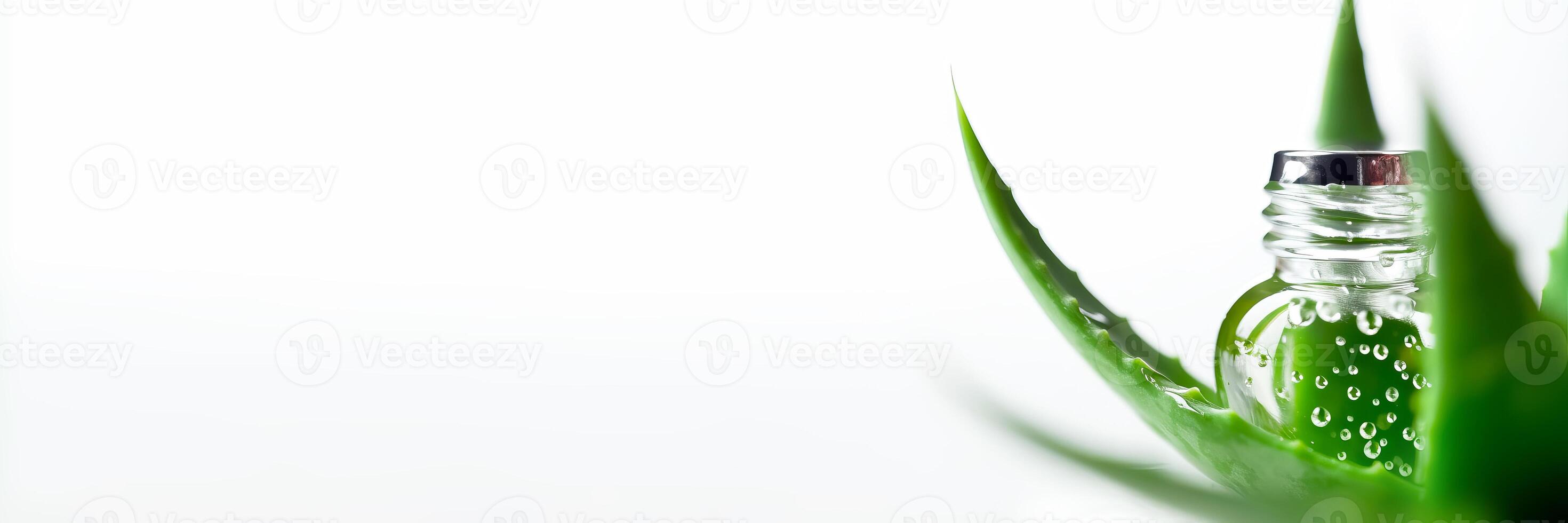 frisch Aloe Vera, Tröpfchen und kosmetisch Flasche auf Weiß Banner. generativ ai Illustration foto