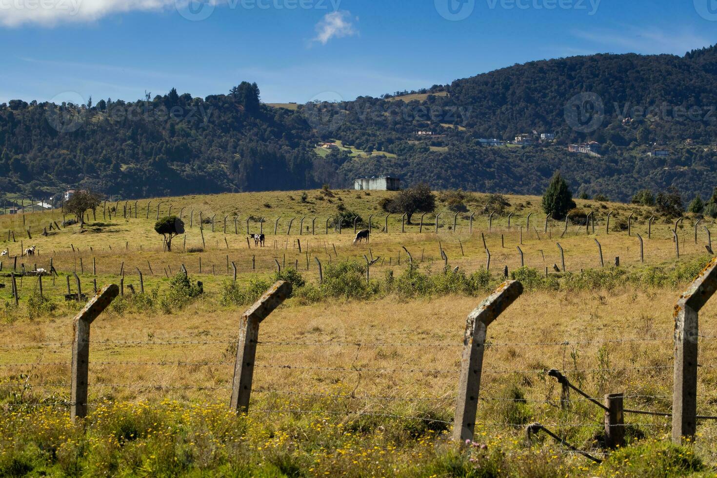 Aussicht von das schön Berge von das Gemeinde von la calera gelegen auf das östlichen Bereiche von das kolumbianisch Anden foto