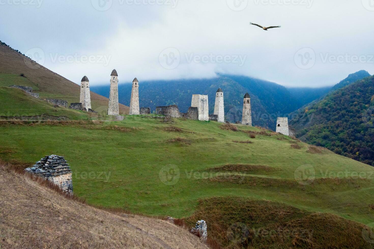 uralt Schlacht Türme erzi im das jeyrah Schlucht. mittelalterlich Turm Komplex Erzi, einer von das größten mittelalterlich Schlosstyp Turm Dörfer, gelegen auf das Extremität von das Berg Angebot im Inguschetien. foto