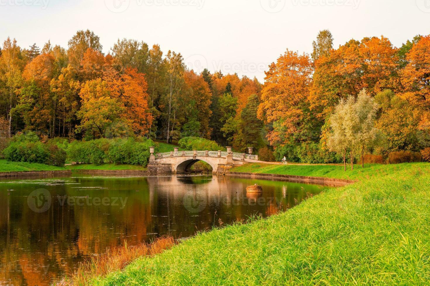 Pawlowski Herbst Park. ein Radfahrer auf das Pfad. slavyanka Fluss im Pawlowsk, Heilige Petersburg foto