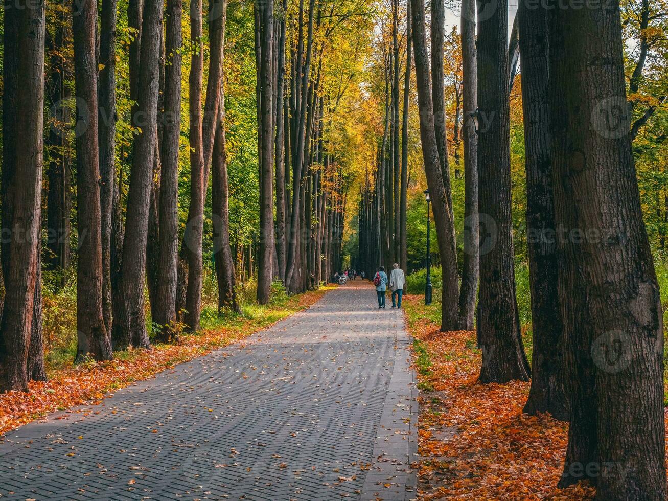 schön Herbst Park mit Silhouetten von Gehen Personen. foto