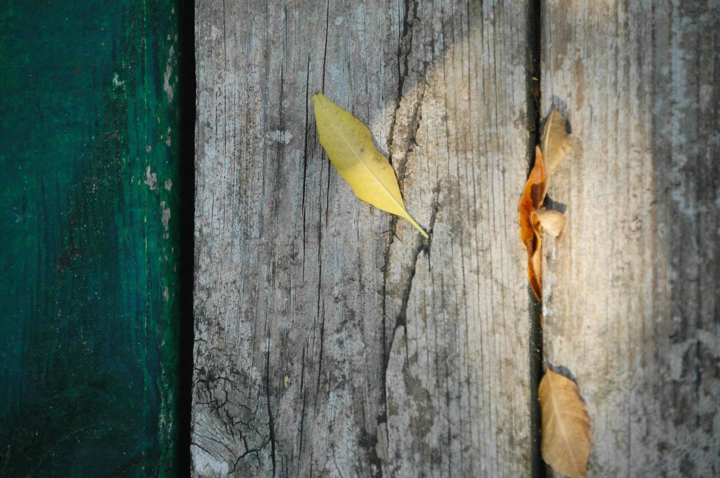 Hintergrundbeschaffenheit mit altem Holz und gelbem Herbstlaub foto