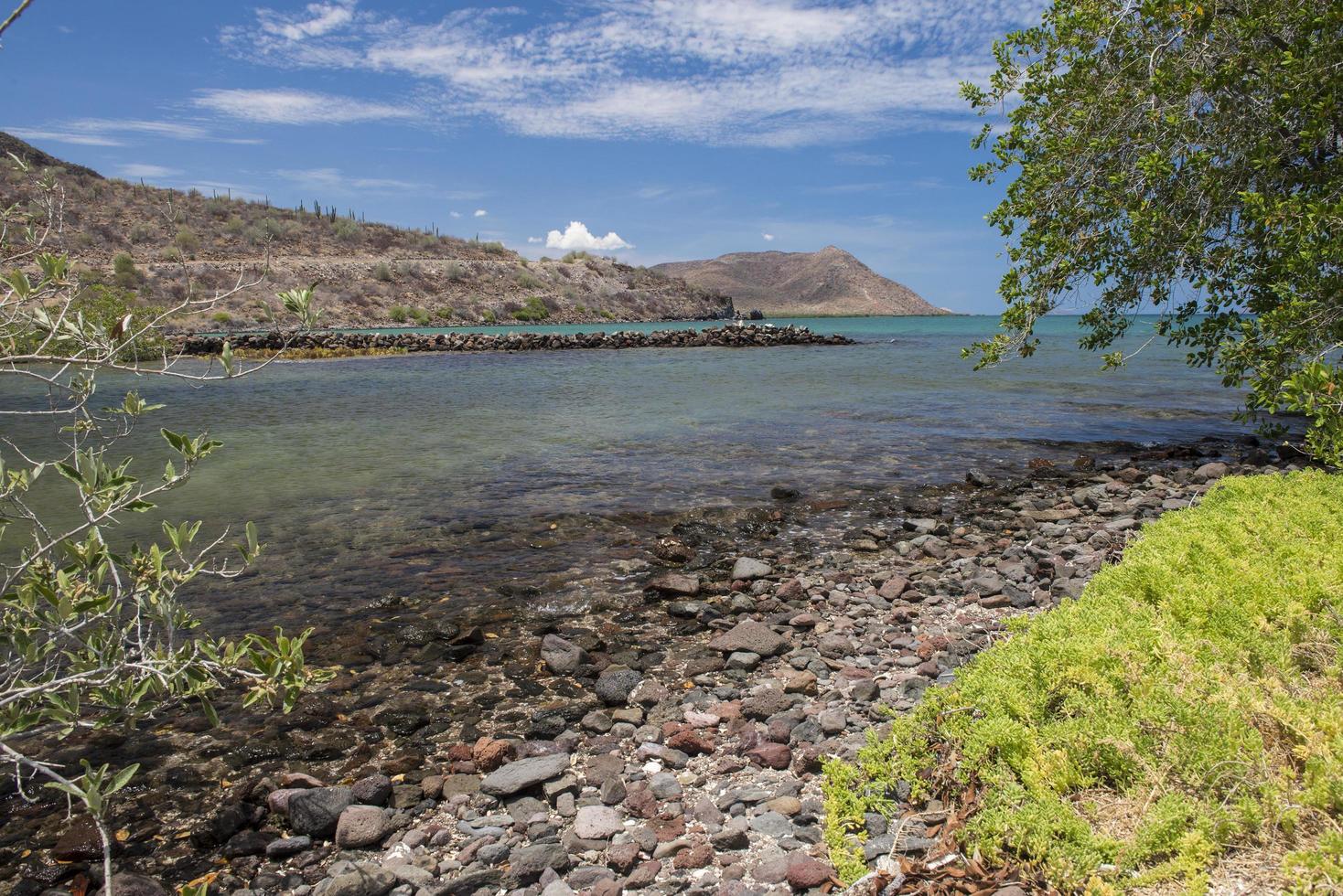 Mangle oder Mangler in der Region Bahia Conception im Bundesstaat Baha California Sur Mexico mit Bergen, Meeresfelsen und Vegetation unter einem blauen und sonnigen Himmel foto