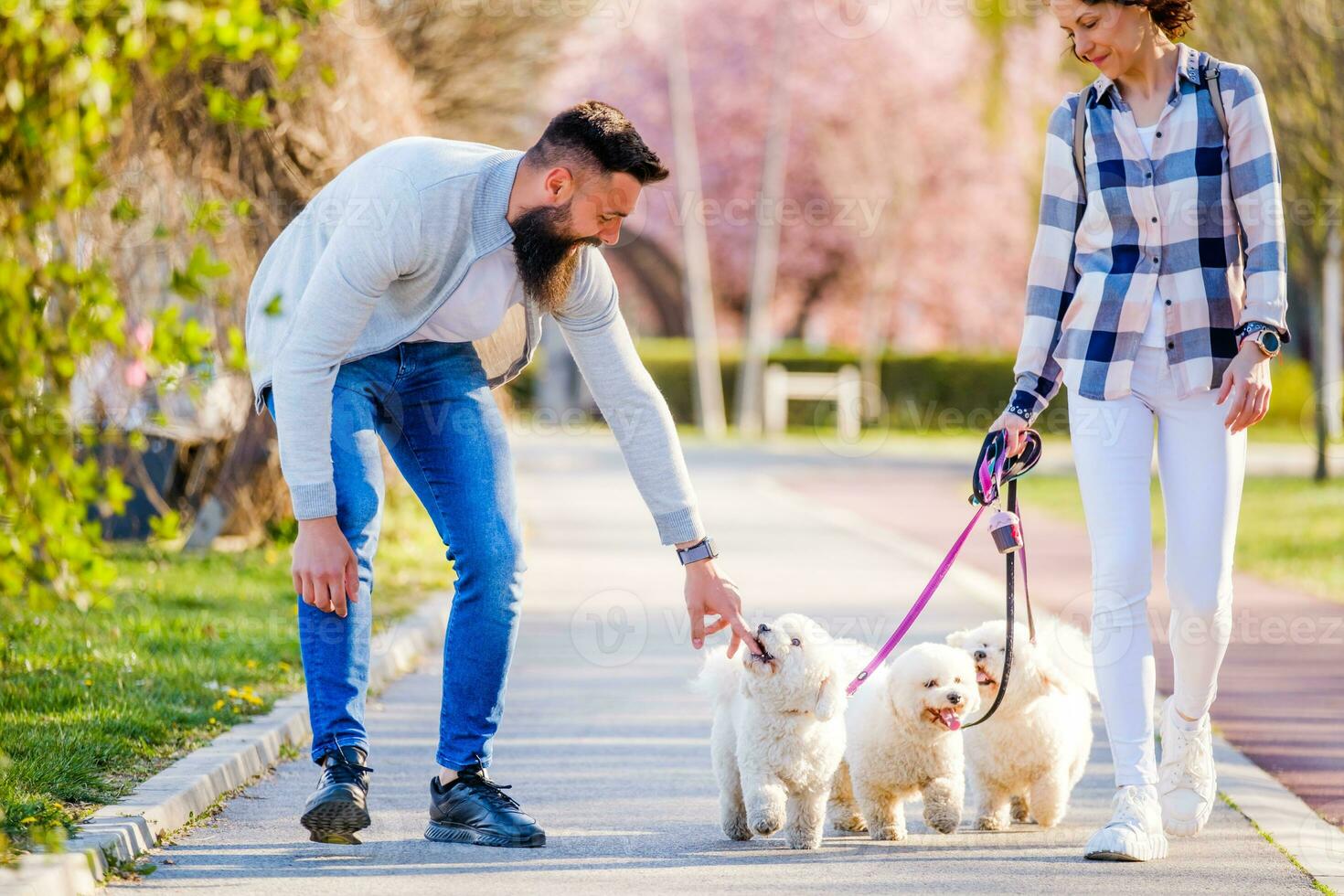 ein Paar Gehen ihr Hunde foto