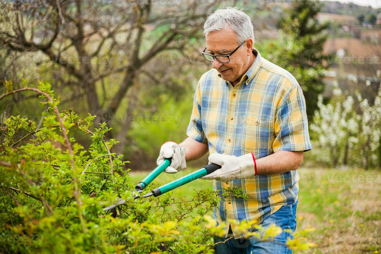 ein Senior Mann nehmen Pflege von seine Garten foto