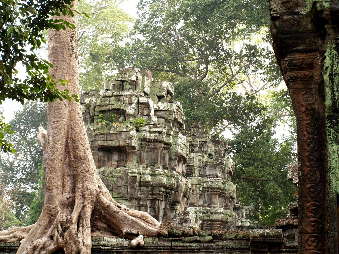 Ruinen in Angkor Wat in Siem Reap, Kambodscha foto