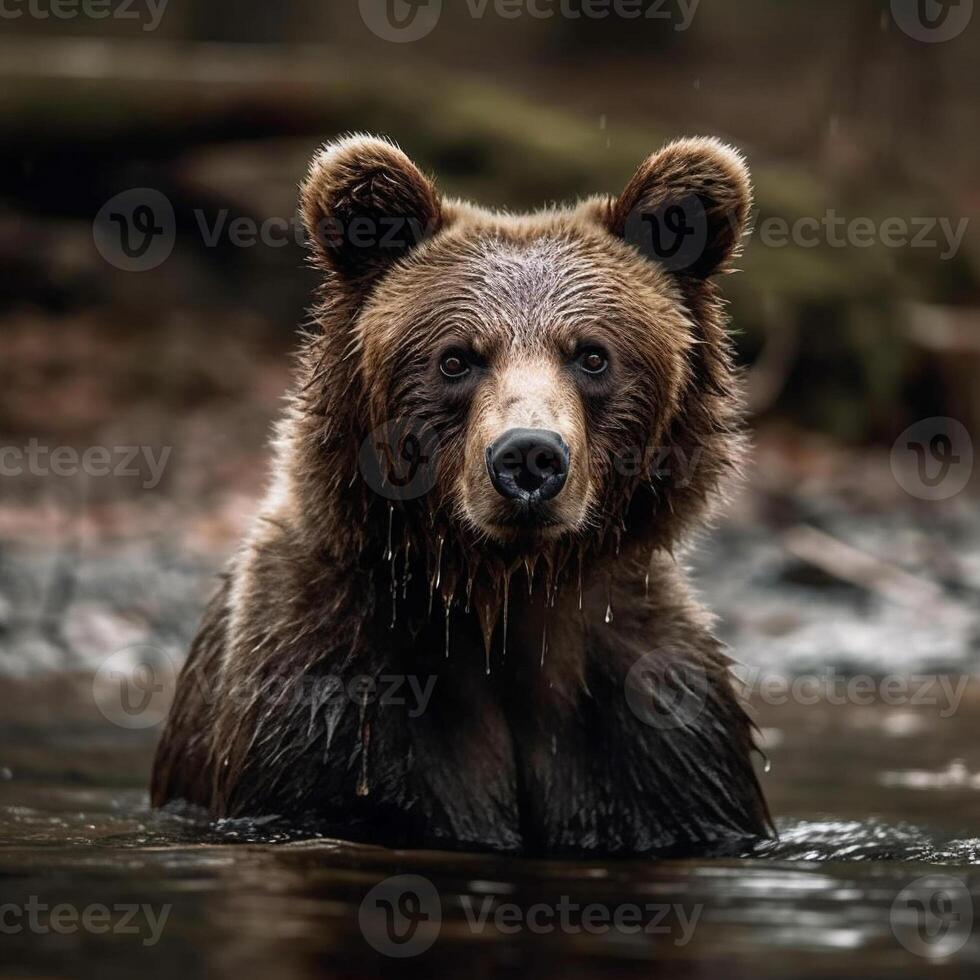 wild Bär im natürlich Lebensraum ai generiert foto