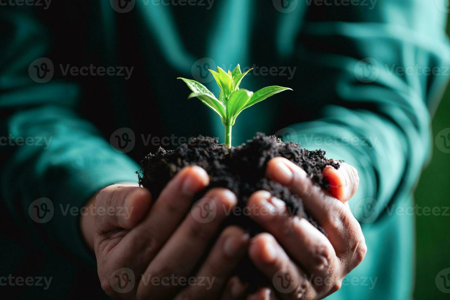 Welt Umgebung Tag. Hände Pflanzen das Sämlinge in Boden. Idee von schützen das Umgebung und reduzieren global Erwärmen. Symbol von Frühling, das Anfang von Wald, Ökologie Konzept. Erde Tag. foto