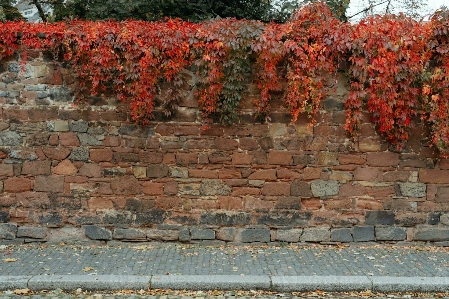 Stein Mauer und Kopfsteinpflaster Bürgersteig foto