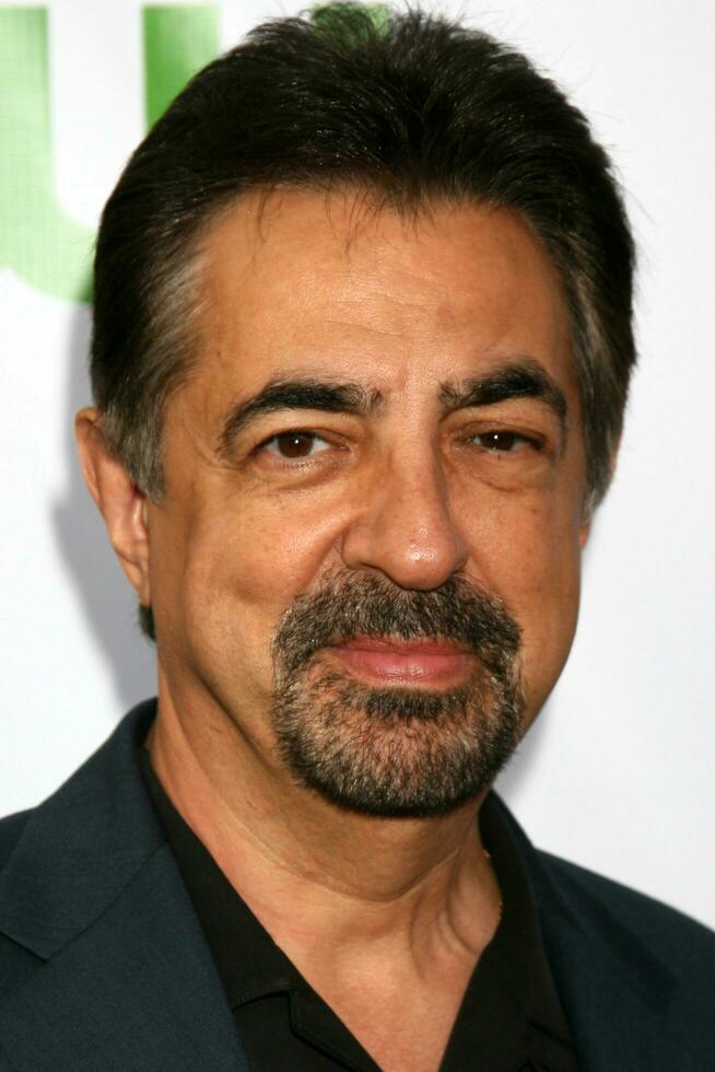 Joe mantegna ankommen beim das cbs tca Sommer- 08 Party beim Boulevard 3 im los Engel ca. auf Juli 18 2008 2008 Kathy Hutchins Hutchins Foto