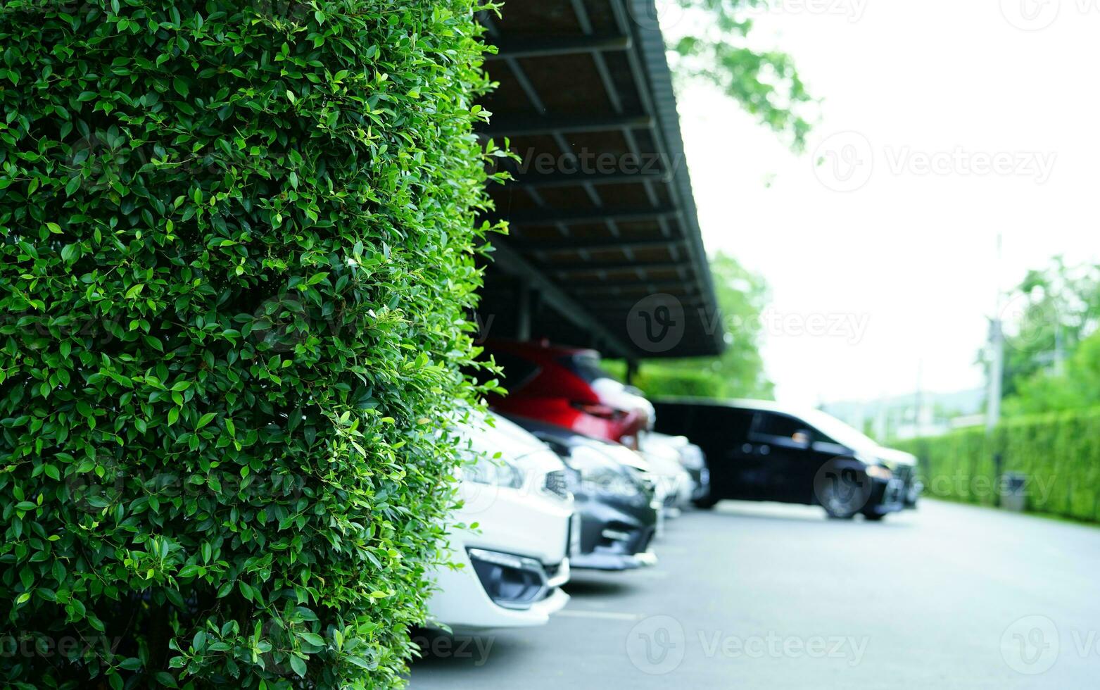 nachhaltig Parkplatz viel. Grün Parkplatz viel. Grün Hecke Zaun auf verwischen beschäftigt städtisch Parkplatz Raum. umweltfreundlich Parken. Grün Infrastruktur. modern die Architektur. nachhaltig Automobil Geschäft Bedienung foto