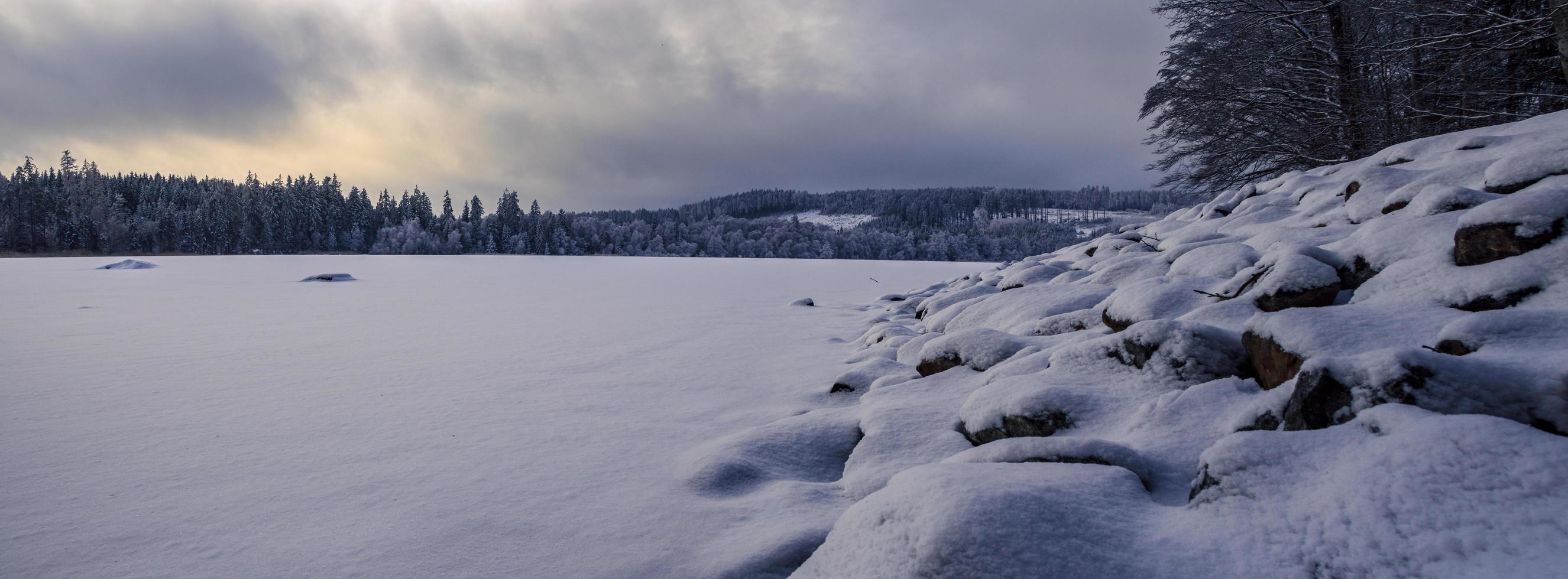 gefrorener Teich im Winter foto