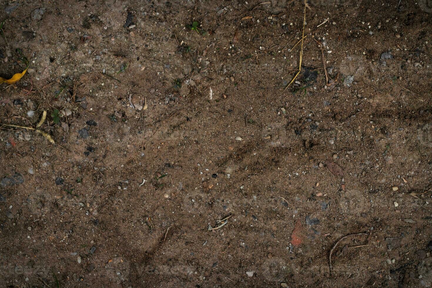 trocken Zweige auf das Boden. klein Ast Stürze auf das dunkel braun Boden. foto