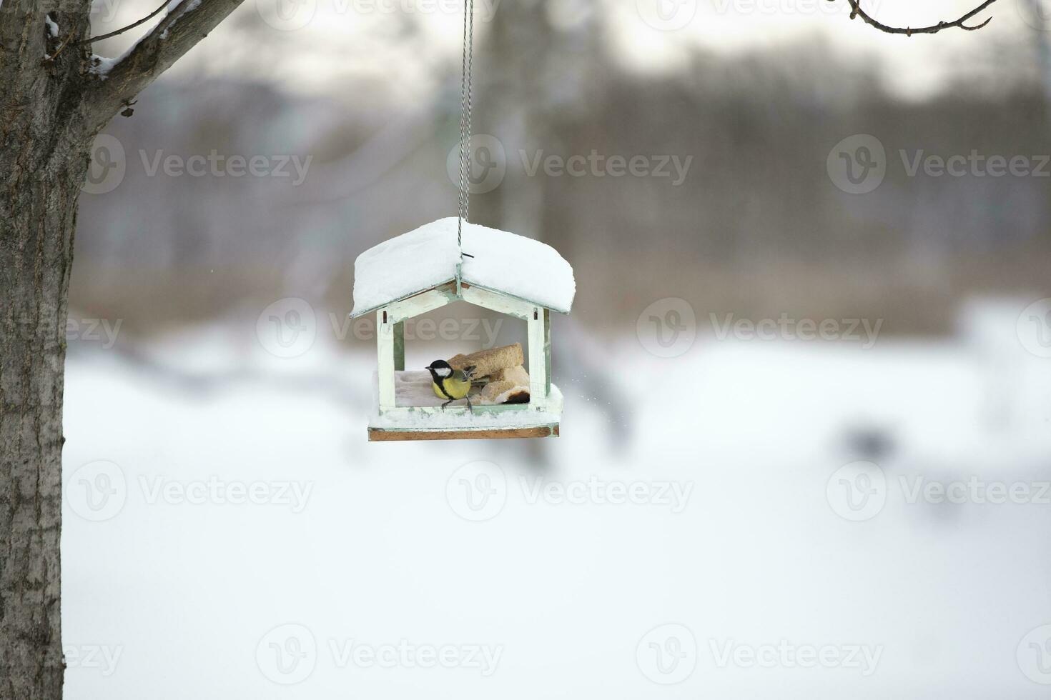 Vogel Feeder auf das Hintergrund von ein Winter Landschaft. foto