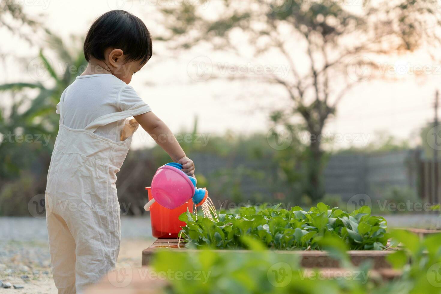 organisch Landwirtschaft beim heim, organisch Gemüse Bauernhof. Kinder Bewässerung organisch Gemüse . nicht giftig Gemüse wachsen natürlich. Gewächshaus Garten, ökologisch biologisch, gesund, Vegetarier, Ökologie foto