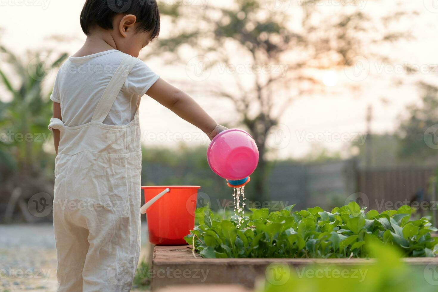 organisch Landwirtschaft beim heim, organisch Gemüse Bauernhof. Kinder Bewässerung organisch Gemüse . nicht giftig Gemüse wachsen natürlich. Gewächshaus Garten, ökologisch biologisch, gesund, Vegetarier, Ökologie foto