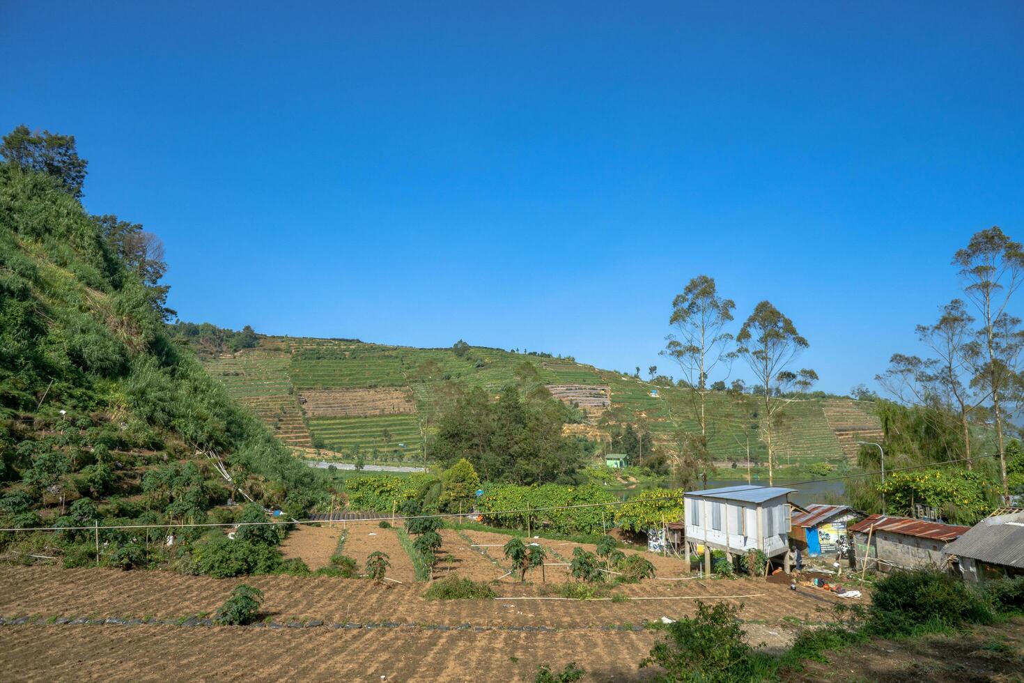 hoch Boden Garten wann Frühling Jahreszeit mit Sonne Strahl. das Foto ist geeignet zu verwenden zum Garten Feld Inhalt Medien, Natur Poster und Bauernhof Hintergrund.