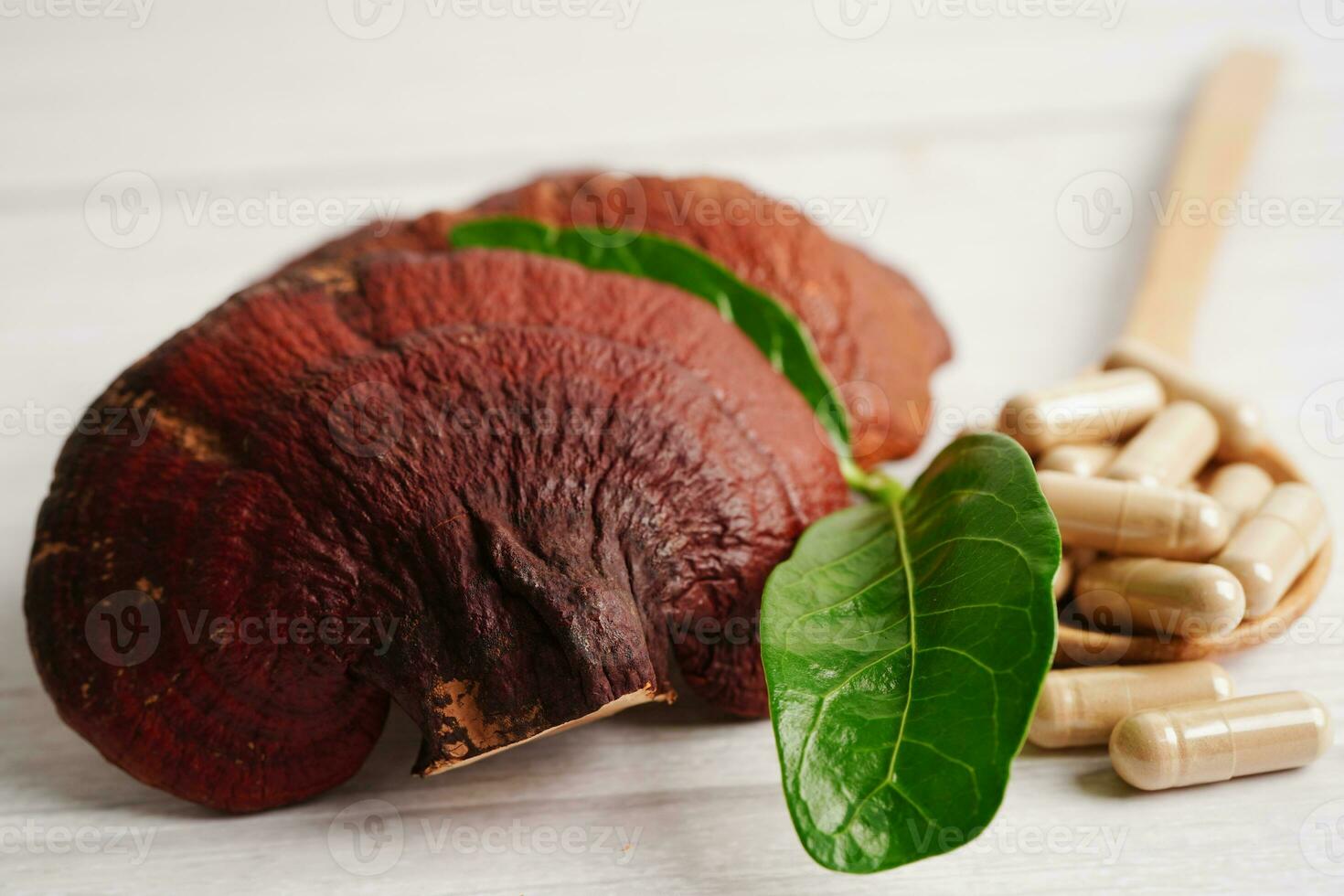 Lingzhi- oder Reishi-Pilz mit Kapseln, natürliches, gesundes Bio-Lebensmittel. foto