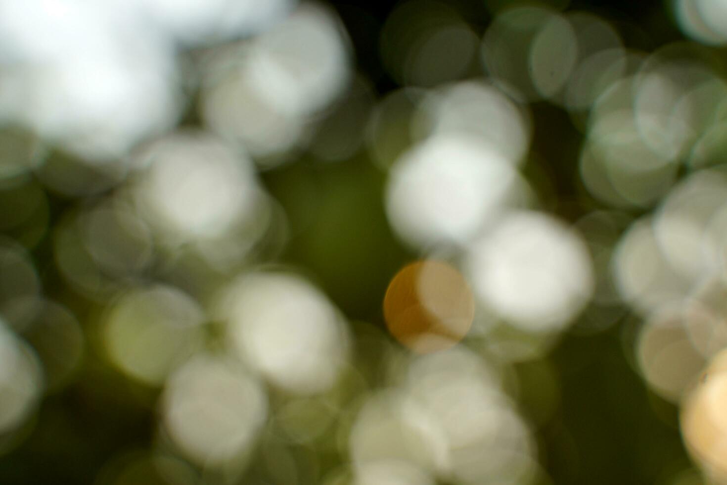 abstrakt Hintergrund Bokeh von Grün Blätter. Konzept Bokeh und Hintergrund Bokeh von Natur, Sanft und selektiv Fokus. foto