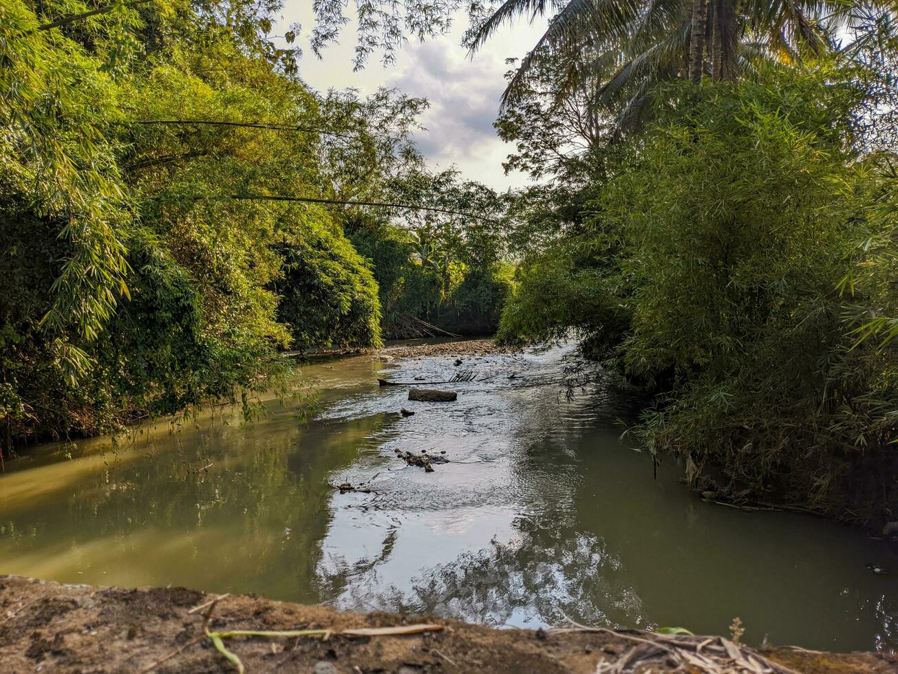 ein Aussicht von das Fluss im Blitar, Indonesien foto