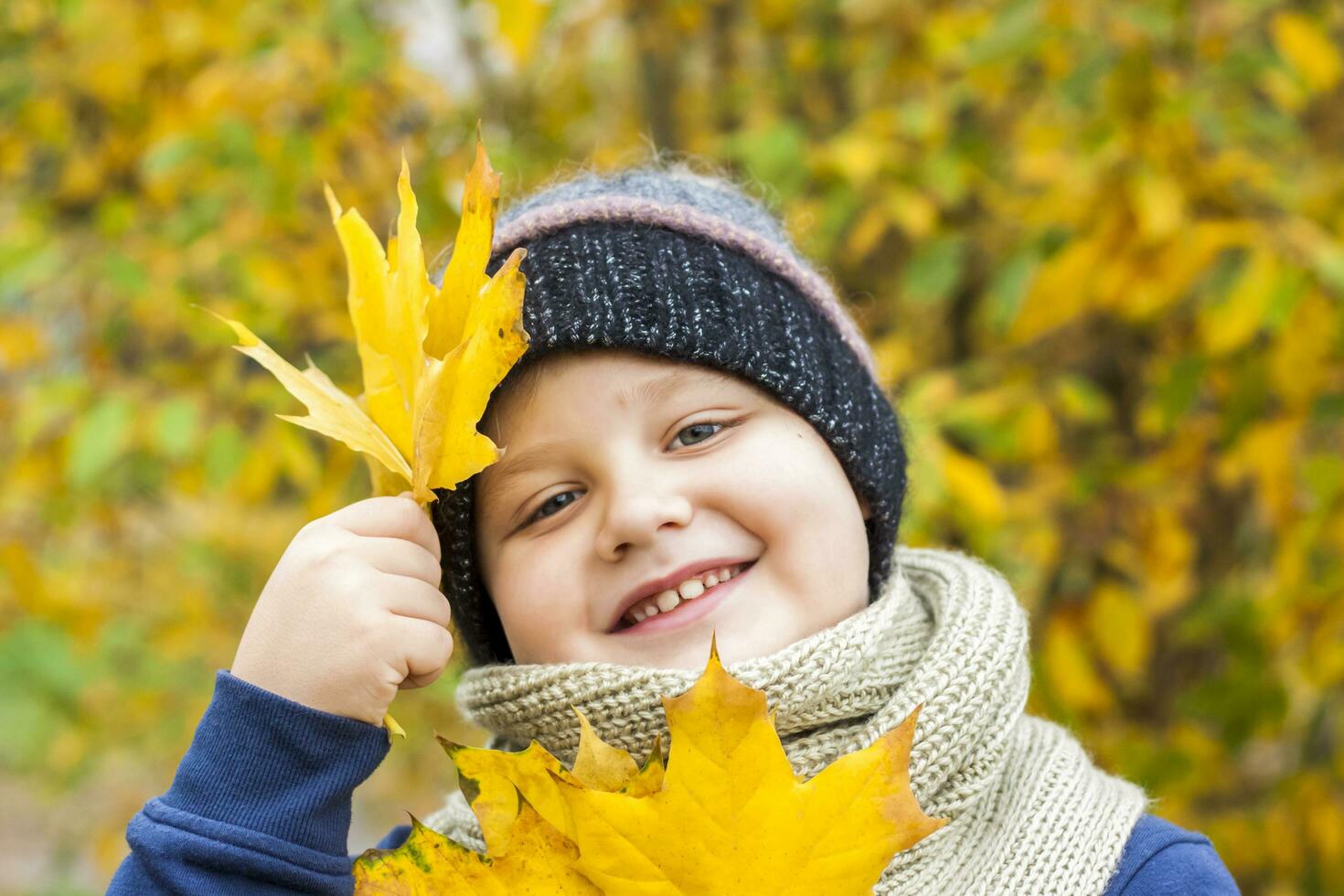 Herbst Stimmung. ein Junge hält Gelb Ahorn Blätter im seine Hände. Herbst Porträt von ein Kind im ein gestrickt Hut. Sicht. süß lächelnd Junge foto