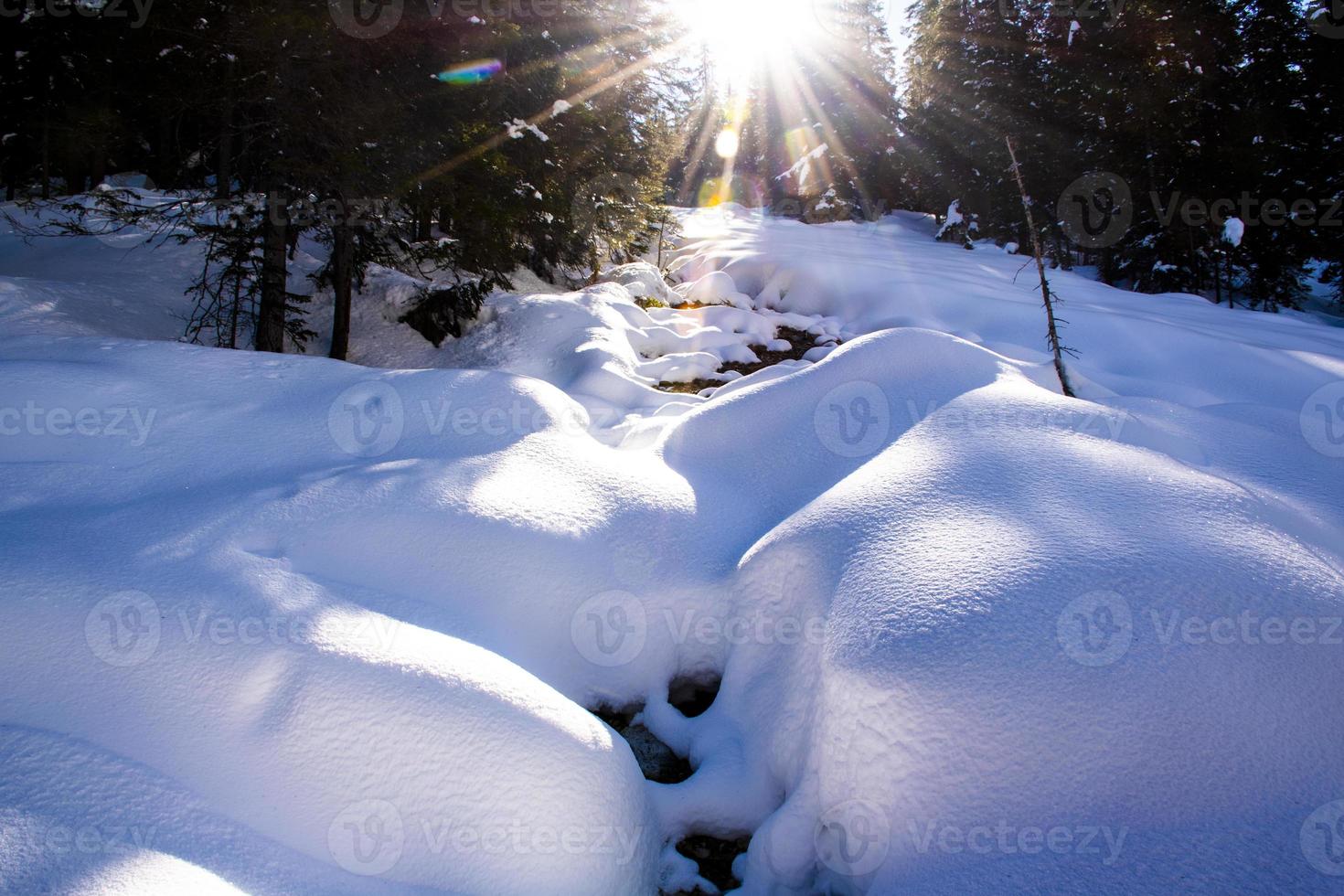 Sonnenstrahlen auf dem schneebedeckten Bach foto